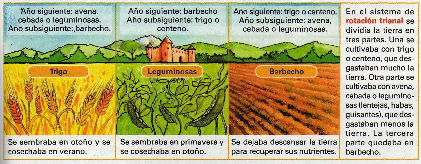 LA SOCIEDAD FEUDAL (S.XI-XV) - ¿CÓMO TRABAJAMOS?